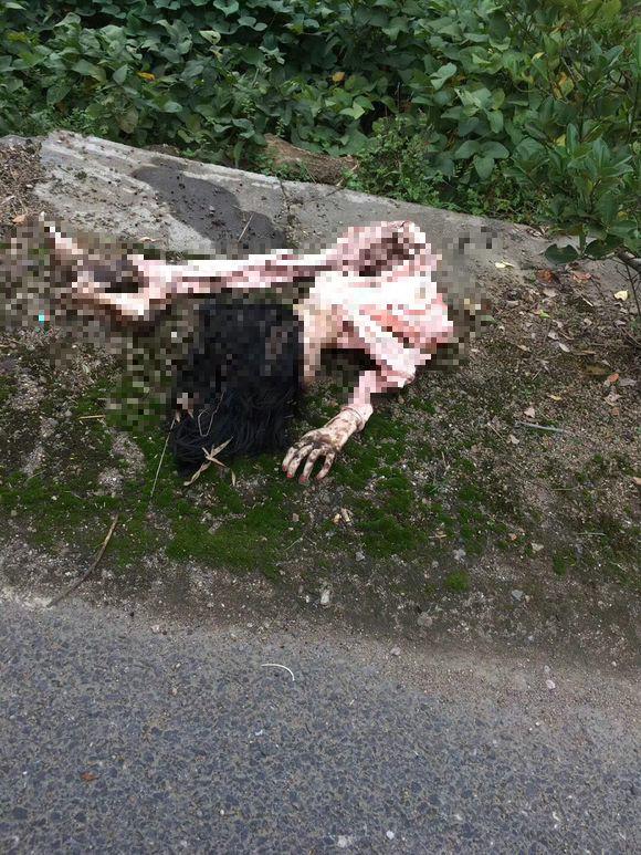 南京|南京男子去河边钓鱼，水面竟漂浮一条细长手臂，网友：水猴子