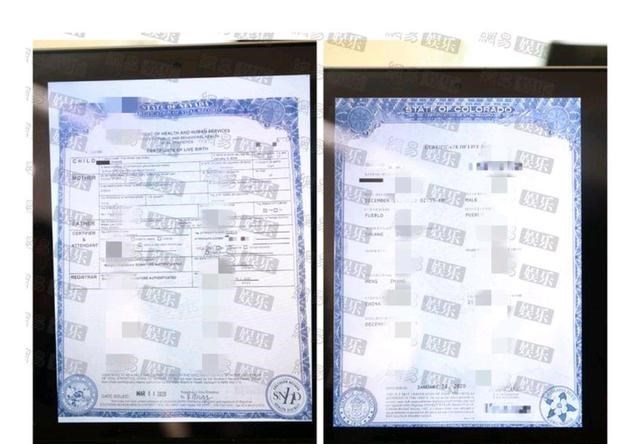 上错花轿嫁对郎|张恒疑似拿孩子炒作？郑爽人财两空还被曝出代孕，马天宇再添猛料