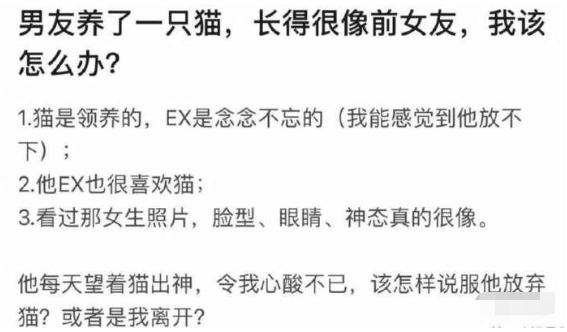 完美邂逅|带女朋友出来钓鱼，但我根本不能集中精神，哈哈哈...估计今天一无所获