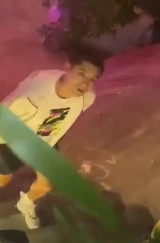 金晨|金晨和张继科要是相爱，真是为民除害