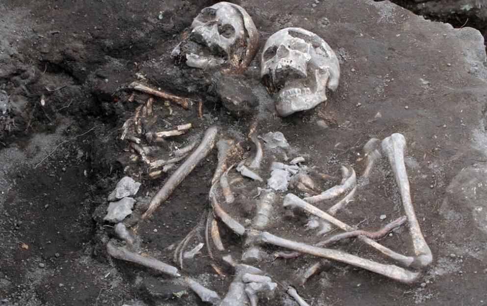 传家宝竟是外星人头骨，DNA检测头骨基因，发现人类跟外星人结合