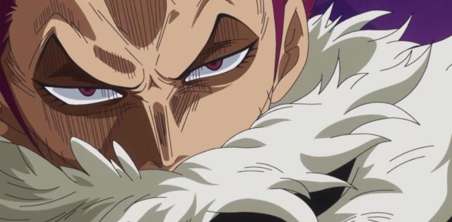 海贼王 超人系已经完成逆袭 盘点六颗被开发到极致的超人系果实 考拉海购