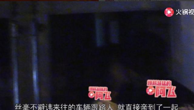 金晨|金晨和张继科要是相爱，真是为民除害