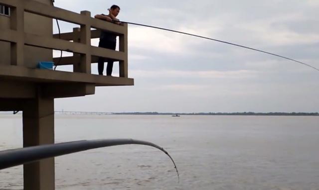 鲤鱼|苦中作乐！长江边房子被淹，男子淡定二楼垂钓