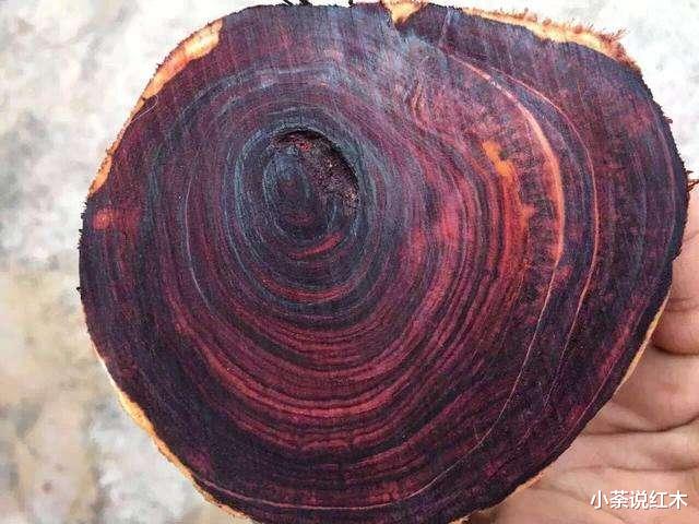 木材都叫花梨木 价格为何天上地下 木头上的一种特征决定了价值 文化资讯 娱乐新闻网 木材都叫花梨木 价格为何天上地下 木头上的一种特征决定了价值 文化资讯 娱乐新闻网
