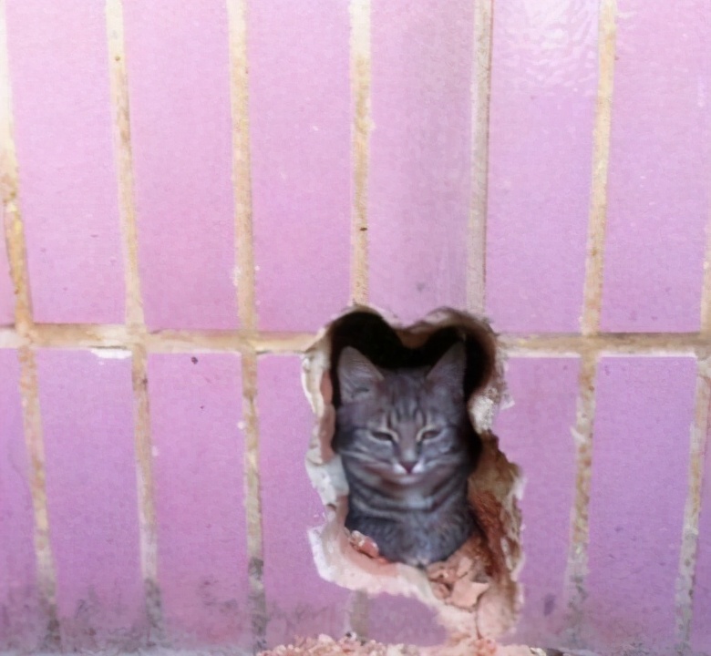 |“来说说,哪些职业接触人性阴暗面较多?”原来这么多呀?哈哈哈哈~