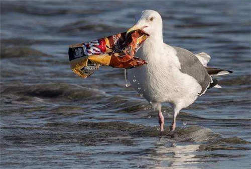 [中国卫星]中国卫星发现一块“新大陆”面积有350万平方公里，正加速在向我国靠拢