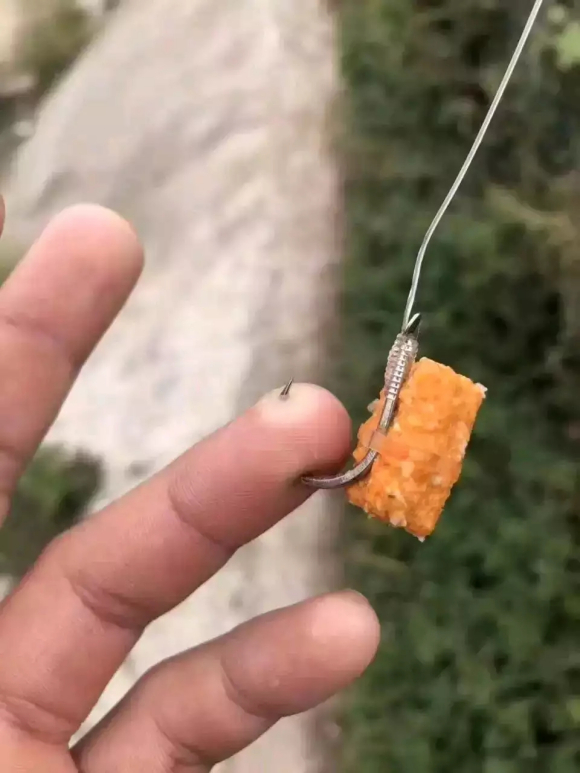「」水深藏凶物！这些水底游荡的活物，一只比一只令人肝颤，谁钓起谁倒霉