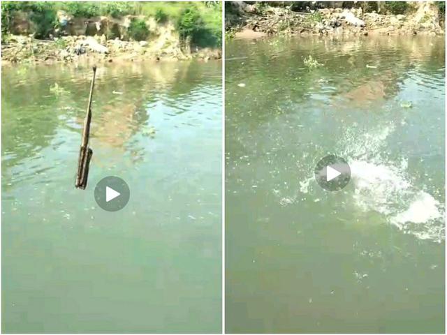 |男子钓鱼连续钓起两把“枪”来,网友:水下到底有多少把?