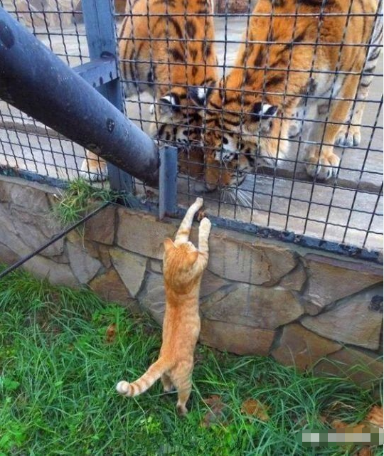 聚会|“挡泥板：你们以为我是摆设吗？”哈哈哈下雨天再也不想坐摩托了……