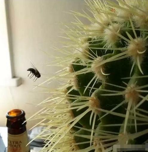 |“女朋友绿了我，我也绿了她，我们还在一起是真爱吗？”哈哈哈哈