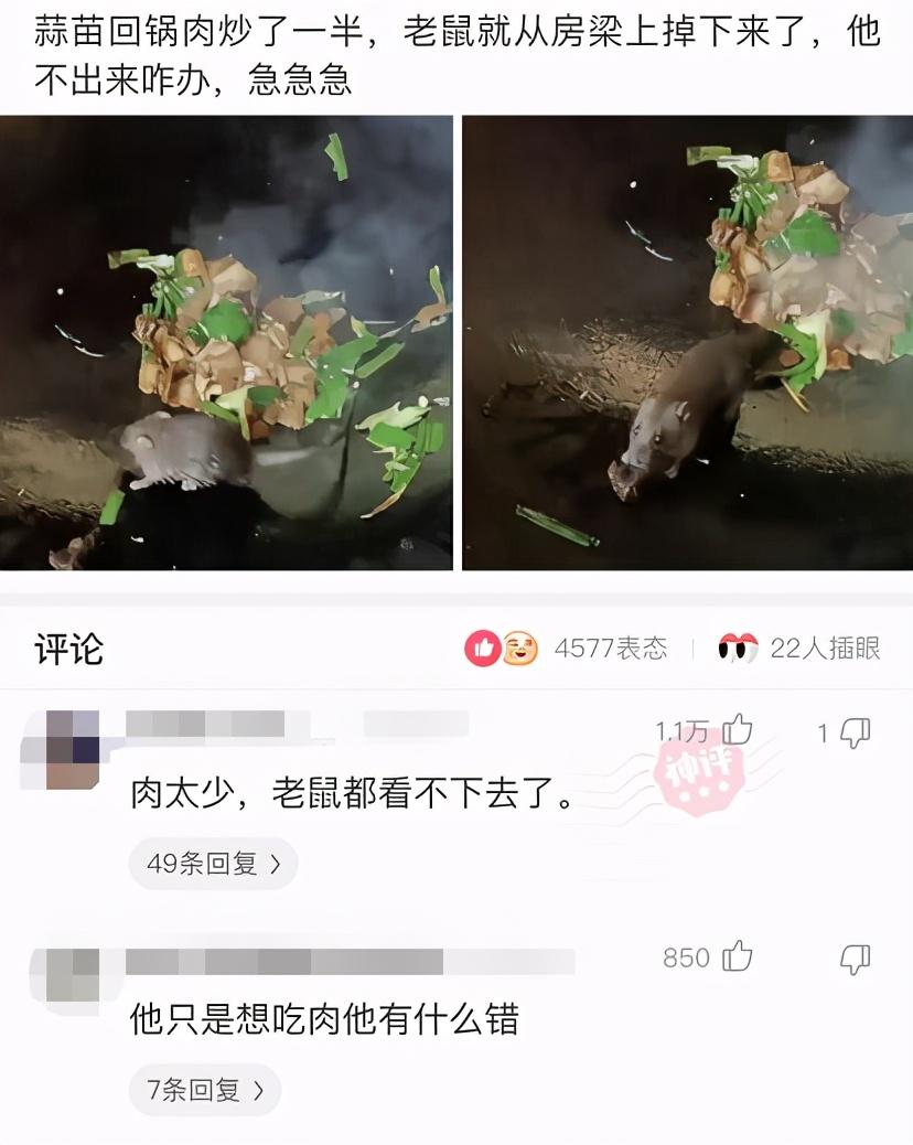 时尚炫点 ”陪嫂子去提车，不得不说这车真的太好看了！”
