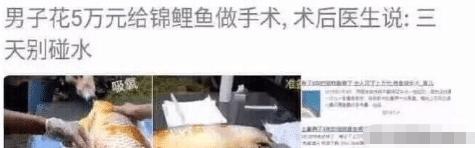 银行|“假如往银行存入10亿，第二天取走，如此反复会怎么样？”哈哈哈哈，第二天你取不走