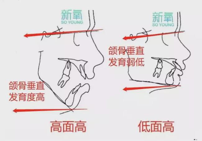 田馥甄|20年前碾压宋慧乔的神颜又杀回来了，这张脸怎么一点没变？