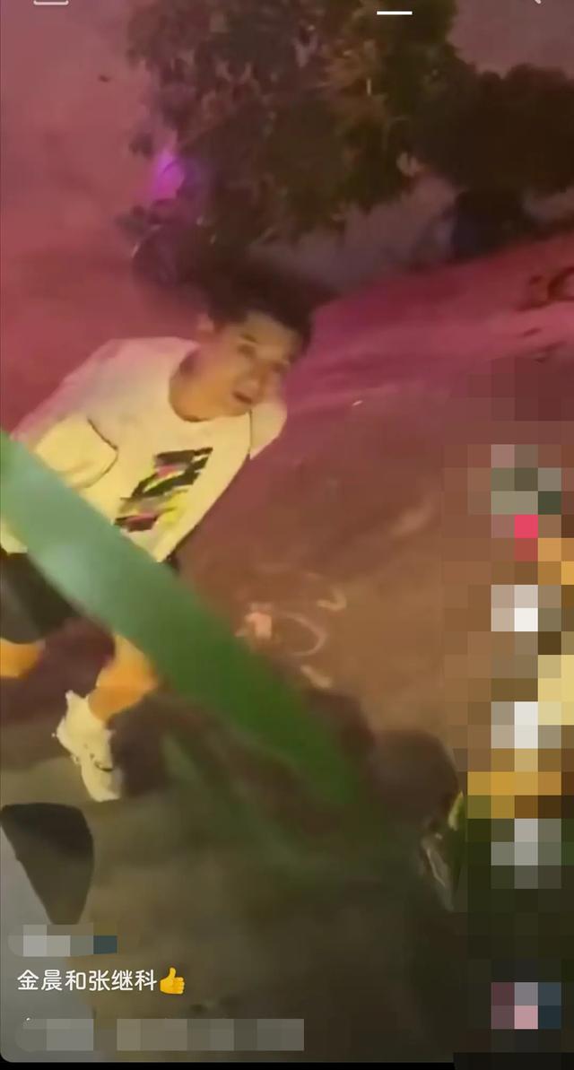 金晨|金晨和张继科要是相爱，真是为民除害