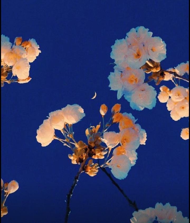 【生肖】花心但从不滥情的4大星座，于茫茫人海中，寻找唯一之灵魂伴侣