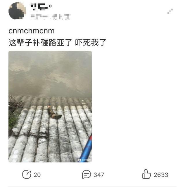鲫鱼|珠江钓鱼，拉起一条“人腿”？男子：这辈子都不去那里钓鱼了
