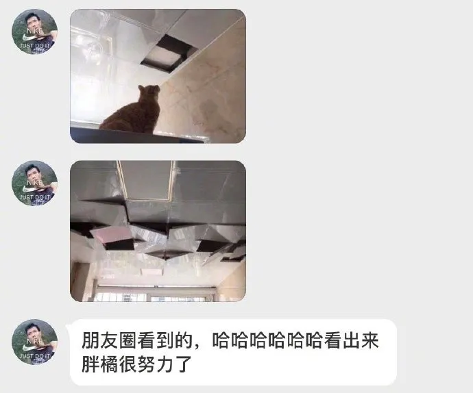 死亡细胞|为什么电竞酒店“五黑房”只有4张床？网友评论亮了！