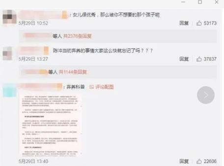 陈冲|陈冲：毁掉央视春晚，宣誓效忠美国，弃养中国双胞胎，如今怎样了