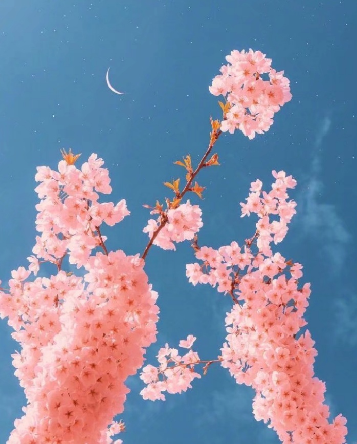 【生肖】花心但从不滥情的4大星座，于茫茫人海中，寻找唯一之灵魂伴侣