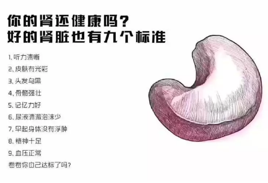 |“好的肾脏有九个标准，你的肾还正常吗？”哈哈哈全中标了