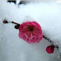 周芳说说情感