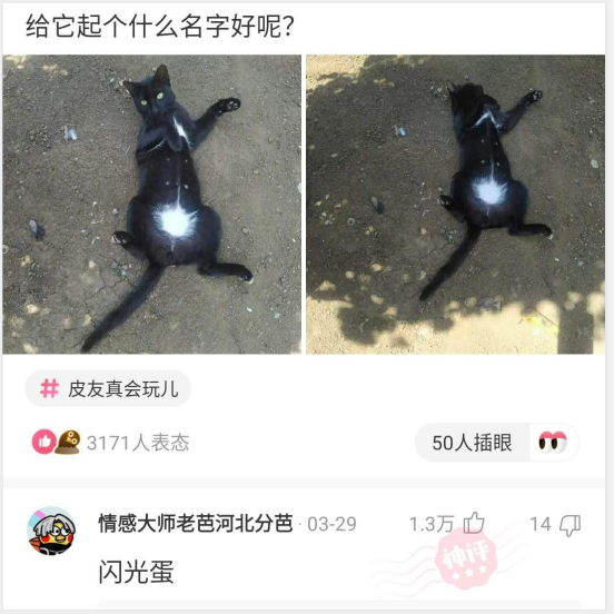  “看到伴娘以后，哪还有空看新娘啊？”太吸引眼球了...哈哈哈...