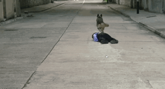 |“高仿真人”有多逼真?价值很高,不是特定场合都不舍得用