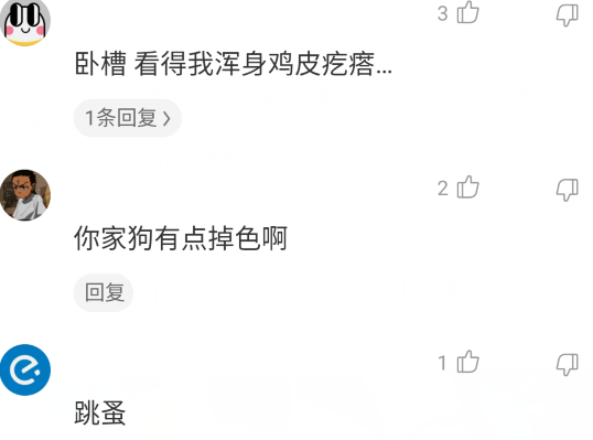  “逗了一会狗身上就出现黑点，这是啥玩意？”心态要崩了...