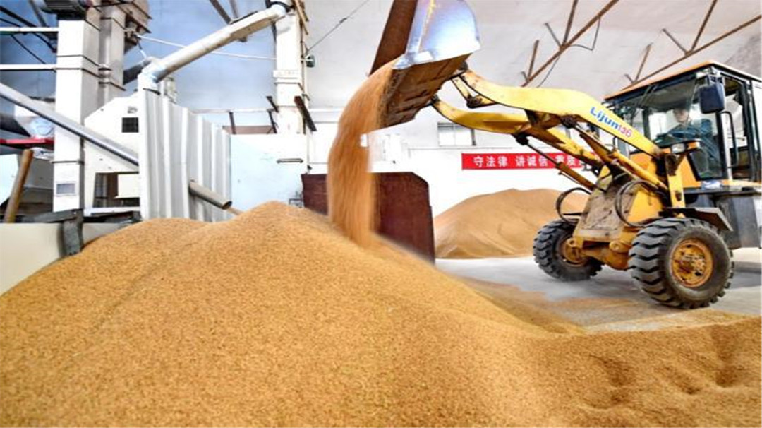 『上官喜爱』中方刚放出消息,多国就紧跟其上,美最担心的来了!