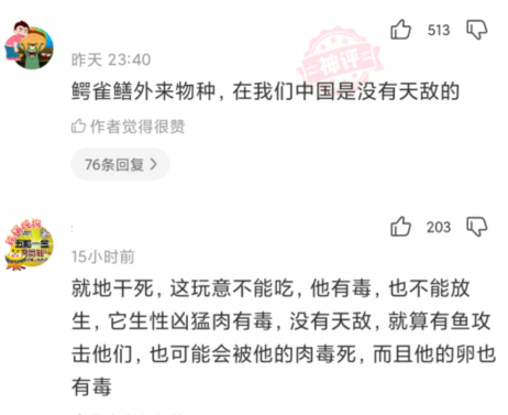 鳄鱼|“到底是鳄鱼出了轨，还是鲶鱼劈了腿...”哈哈哈钓上来了啥玩意？