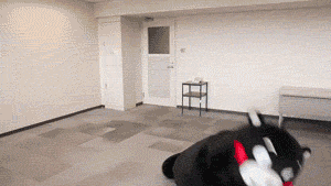 融媒看看 “共同致富”的好兄弟，却一起穿上了囚服