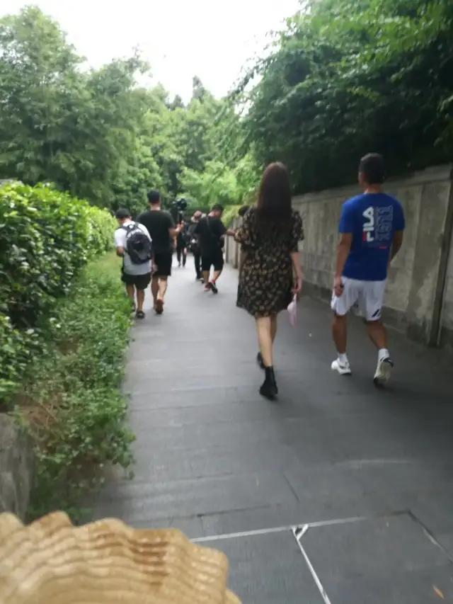 金晨|金晨和张继科要是相爱，真是为民除害