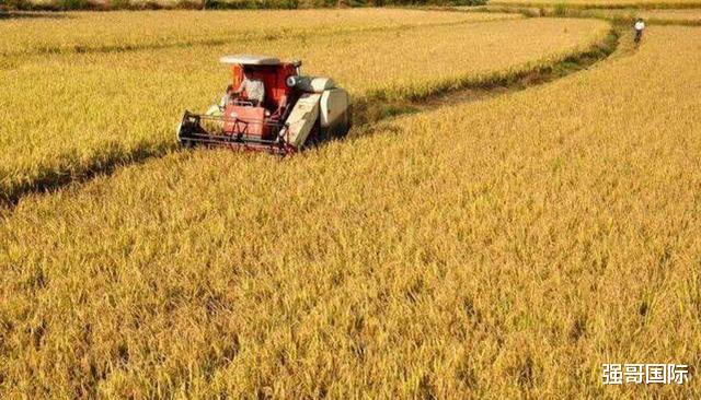 |我国这次“动真格”，果断拒绝与美国谈判，100亿订单全部取消！