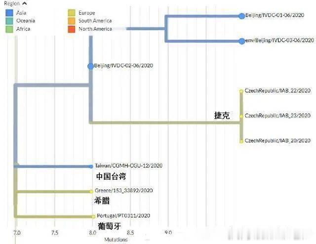 「新发地」新发地检测出的病毒比现在欧洲流行的病毒更老，说明了什么？