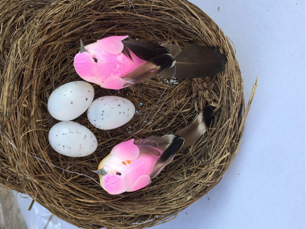 【科学家】一个神奇的物种，既能生蛋又能生仔，科学家：人类正在见证进化！