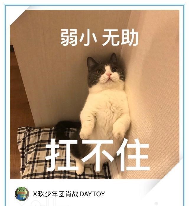 董璇|肖战成功拿下大品牌代言，让蒙牛变“铁牛”？抵制方彻底输了！