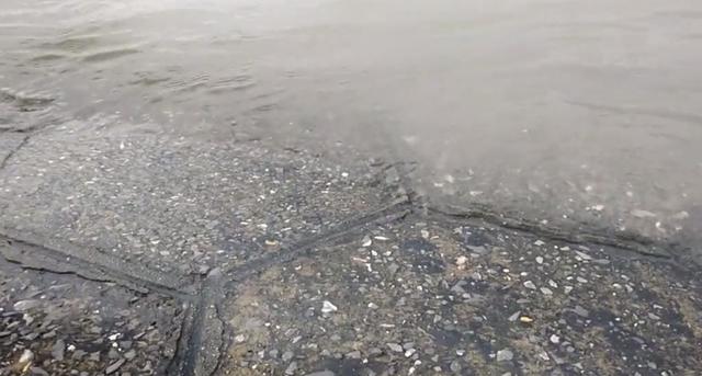 鲤鱼|苦中作乐！长江边房子被淹，男子淡定二楼垂钓