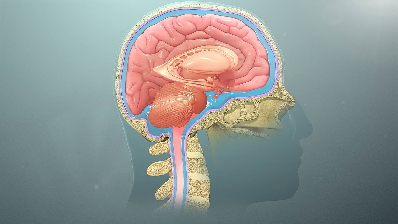 科学家|人死了，一切就会消失吗？研究发现：人死后还能看见