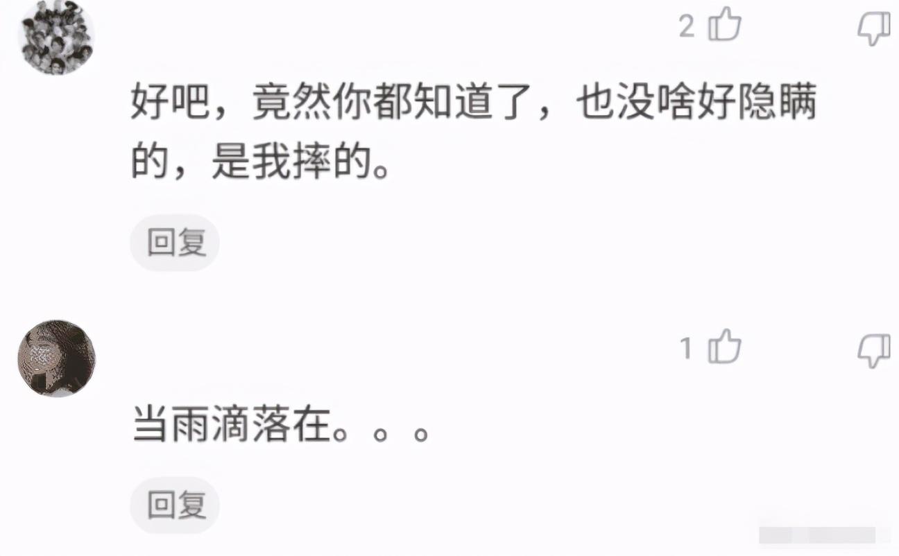 林志玲|这还是林志玲吗?我怎么感觉越来越像一个日本贵妇人了?网友们怎么看?