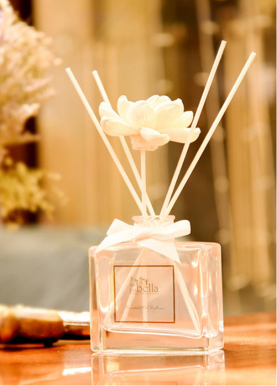 不会除醛没关系！教你三个小妙招，快速除醛不是梦！