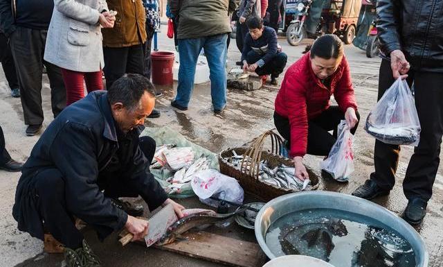 为啥在有些农贸市场买鱼,说拿回家自己杀,摊主就不卖了呢?
