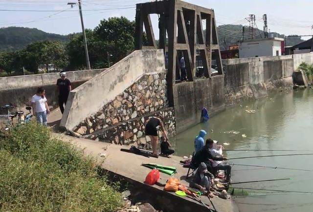 虎门|东莞虎门天然钓场：免费停车、关键没有人打扰，钓大钓小全凭运气