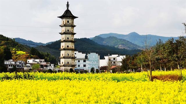 『浙江省』我国4个有“江”字的省份，每个经济都很不错，你更看好哪个呢？