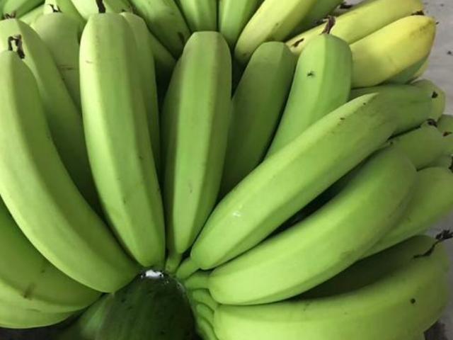 水果|5种被拉入“黑名单”的水果，尤其第2个，聪明人从来不吃