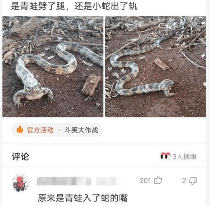 小姐姐|“这是青蛙劈了腿，还是小蛇出了轨？”哈哈哈，该叫它什么物种呢？