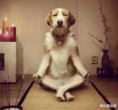 gai|封杀，怎么能把他给漏了？