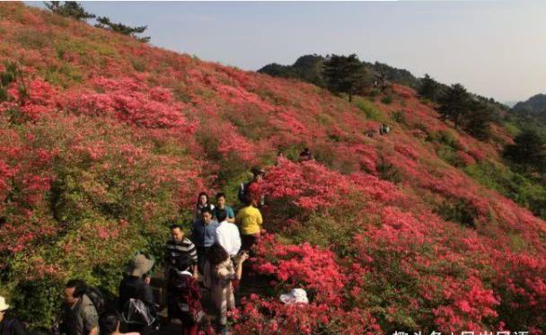 大别山|中国最不“宰客”的景区，门票65元玩好几天，吃住80元足够！