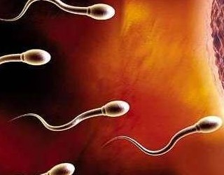 糍粑|做足疗太久，会有可能让男性遗精？足疗的真相