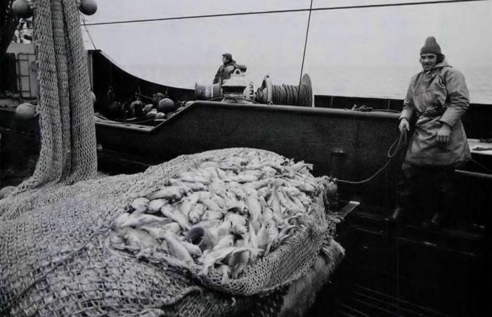 人性的貪婪——紐芬蘭漁場禁漁20年，仍無魚可捕，中國舟山漁場應引以為鑒-圖5